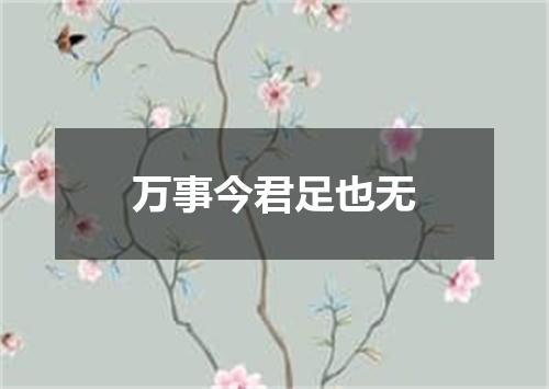 万事今君足也无