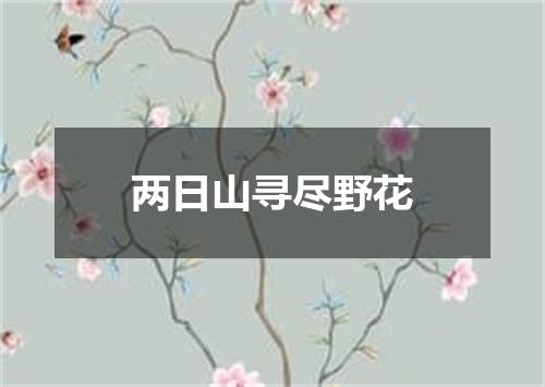 两日山寻尽野花