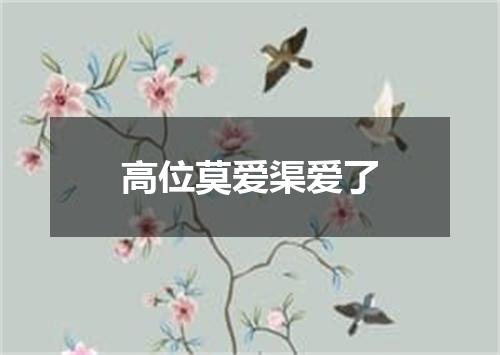 高位莫爱渠爱了