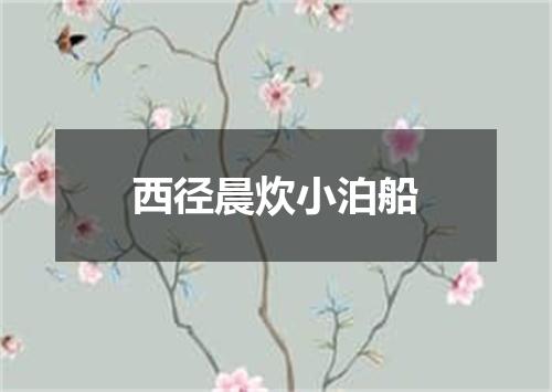 西径晨炊小泊船