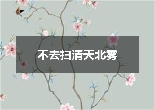 不去扫清天北雾
