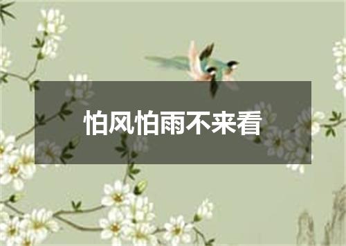 怕风怕雨不来看