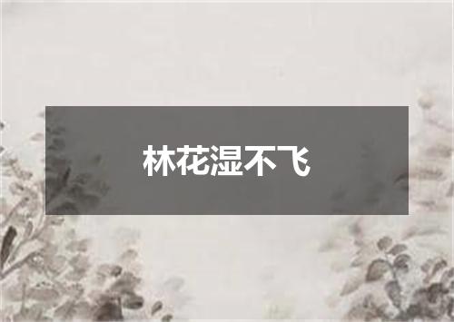 林花湿不飞