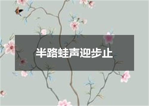 半路蛙声迎步止