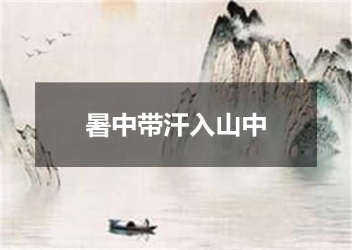 暑中带汗入山中