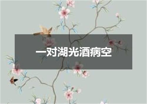 一对湖光酒病空