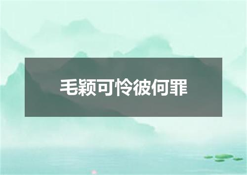 毛颖可怜彼何罪