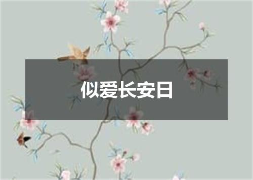 似爱长安日