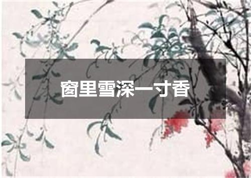 窗里雪深一寸香