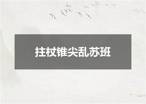 拄杖锥尖乱苏班