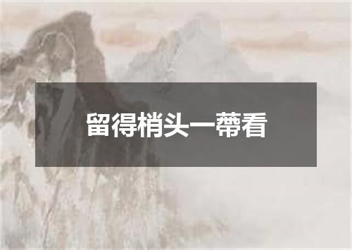 留得梢头一蔕看