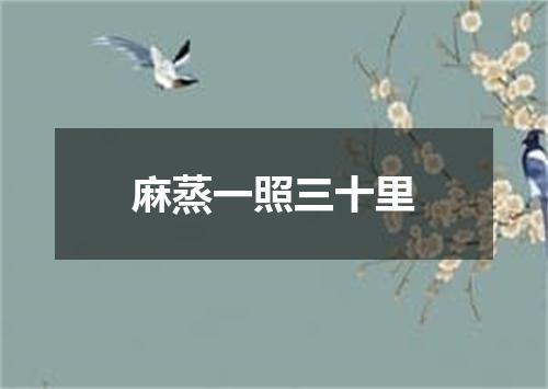 麻蒸一照三十里