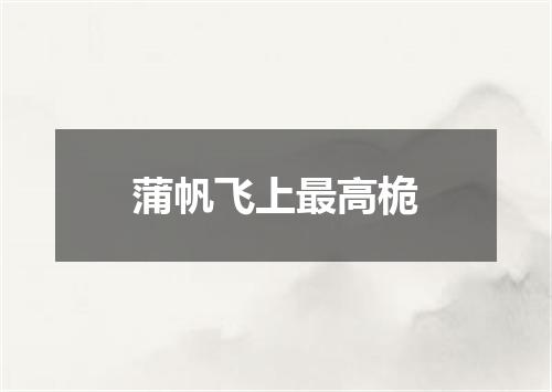 蒲帆飞上最高桅