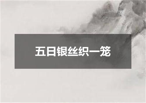 五日银丝织一笼