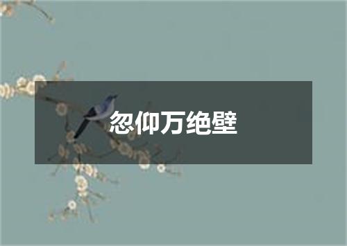 忽仰万绝壁