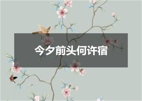 今夕前头何许宿