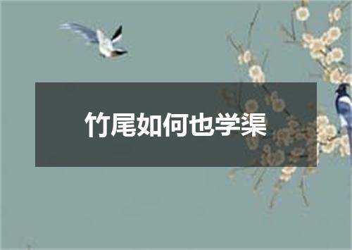 竹尾如何也学渠