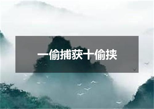 一偷捕获十偷挟