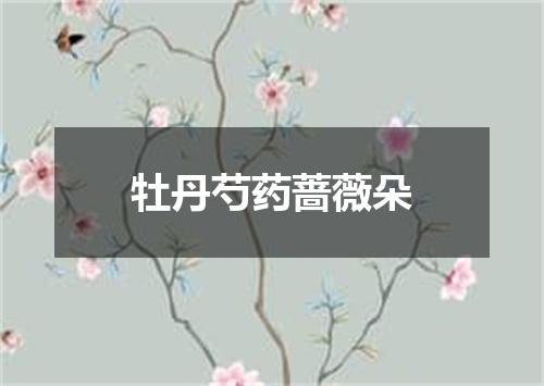 牡丹芍药蔷薇朵