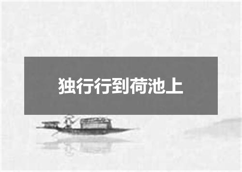 独行行到荷池上