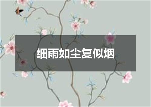 细雨如尘复似烟