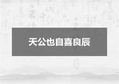 天公也自喜良辰