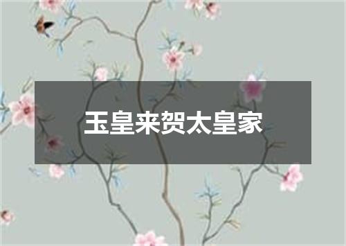 玉皇来贺太皇家