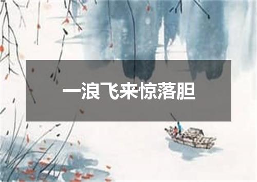 一浪飞来惊落胆