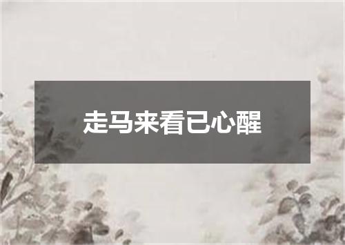 走马来看已心醒