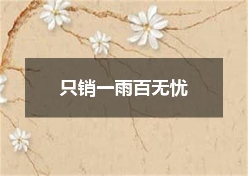 只销一雨百无忧