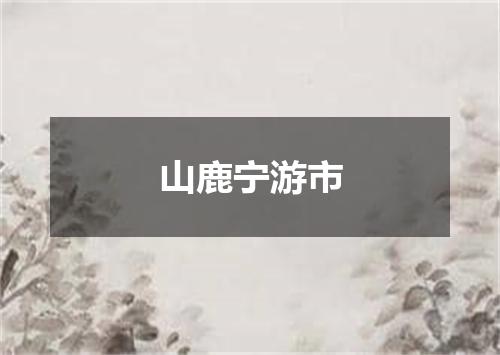 山鹿宁游市