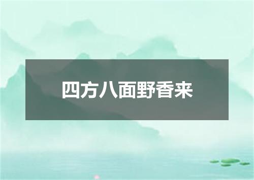四方八面野香来