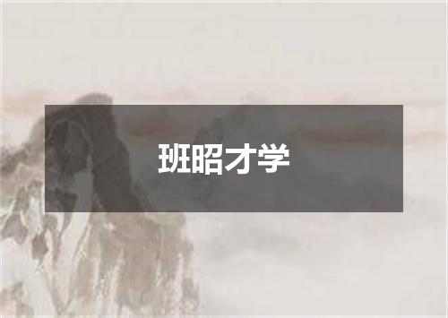 班昭才学