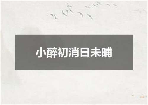小醉初消日未晡