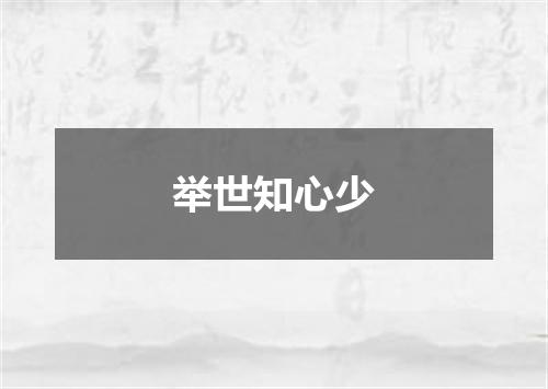 举世知心少