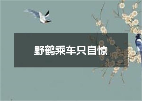 野鹤乘车只自惊