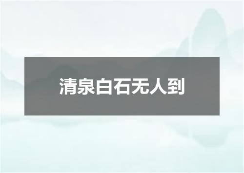 清泉白石无人到