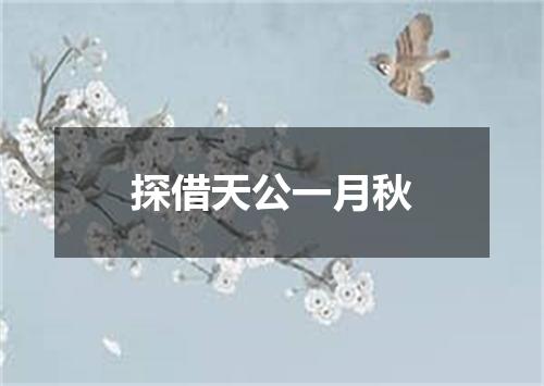 探借天公一月秋