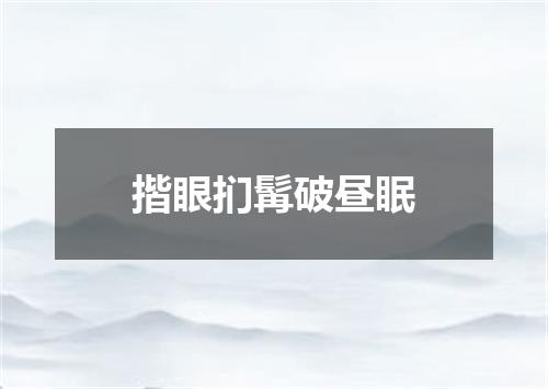揩眼扪髯破昼眠