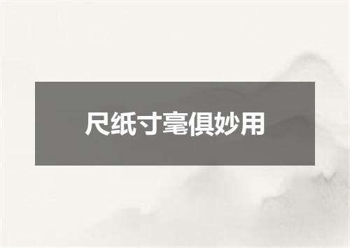 尺纸寸毫俱妙用
