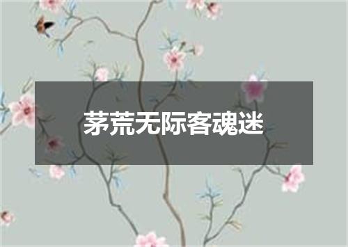 茅荒无际客魂迷