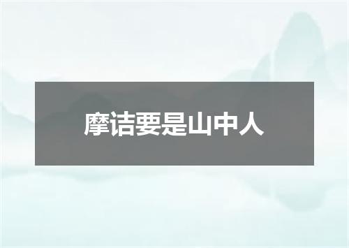 摩诘要是山中人