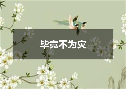毕竟不为灾