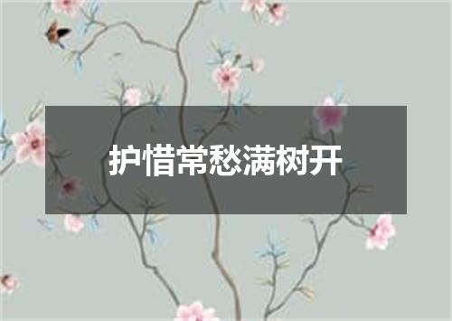 护惜常愁满树开