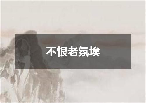 不恨老氛埃