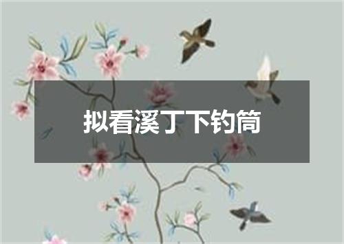 拟看溪丁下钓筒