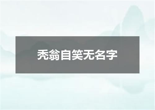秃翁自笑无名字