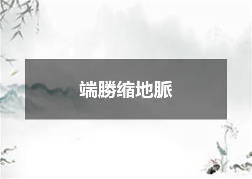 端勝缩地脈