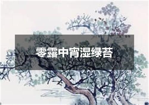 零露中宵湿绿苔