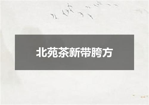 北苑茶新带胯方